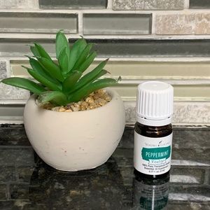 Peppermint Essential Oil 🌱